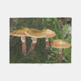 Pilze Fleecedecke
