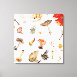 Pilze Fungus Leinwanddruck