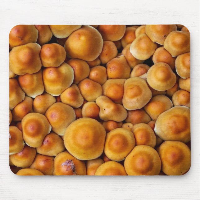 Pilze Fungus Mousepad (Vorne)
