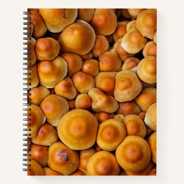 Pilze Fungus Notizbuch (Vorderseite)