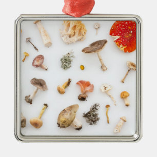 Pilze Fungus Ornament Aus Metall