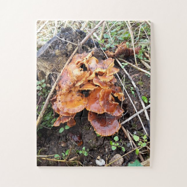 Pilze im Wald Puzzle (Vertikal)