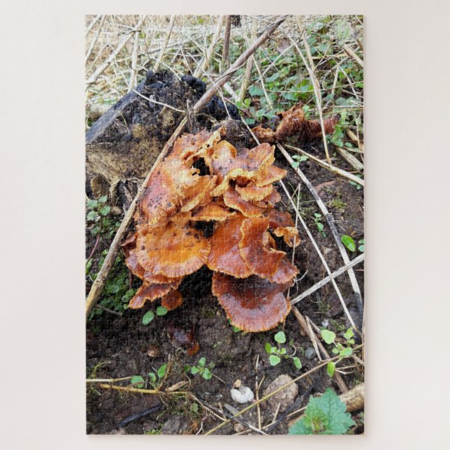 Pilze im Wald Puzzle (Vertikal)
