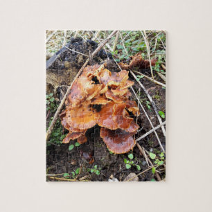 Pilze im Wald Puzzle