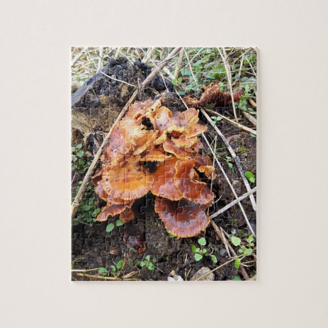 Pilze im Wald Puzzle (Vertikal)