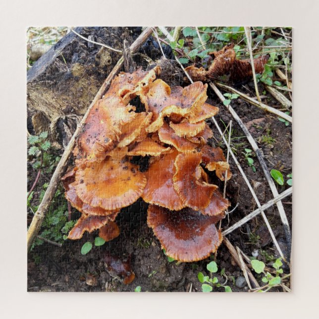 Pilze im Wald Puzzle (Vertikal)