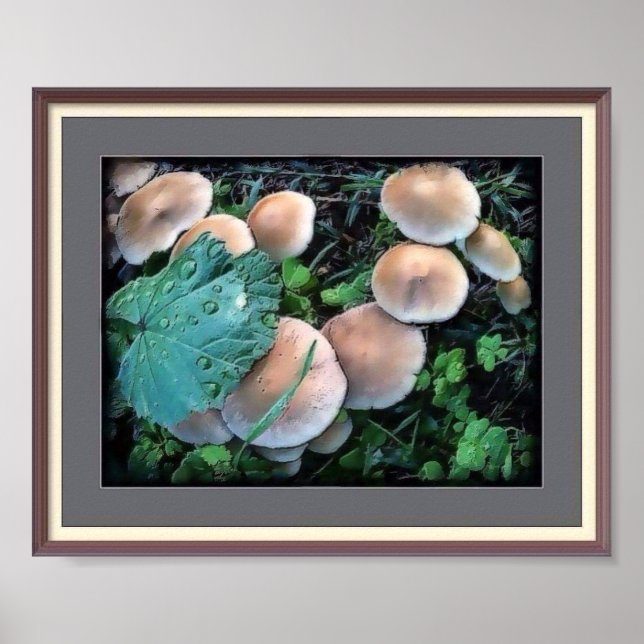 Pilze in Grasplakaten Poster (Vorne)