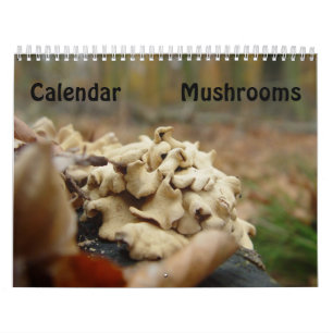Pilze Kalender