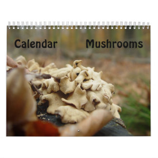 Pilze Kalender