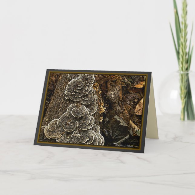 Pilze Karte (Vorderseite)