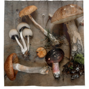 Pilze Liebe Fungi Duschvorhang
