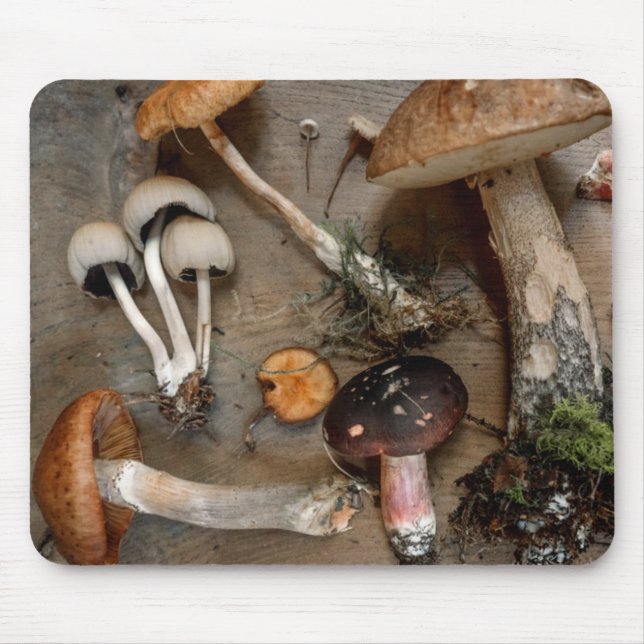 Pilze Liebe Fungi Mousepad (Vorne)