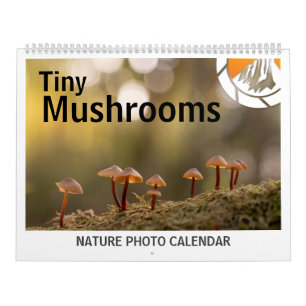 Pilze Naturfotos 2027 Kalender