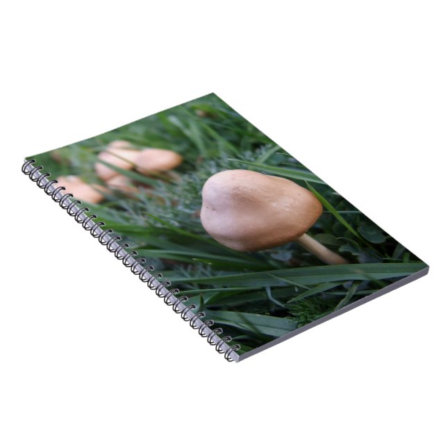 Pilze-Notebook Notizblock (Rechte Seite)