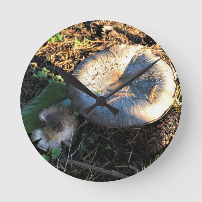 Pilze, Oregon Runde Wanduhr (Vorderseite)