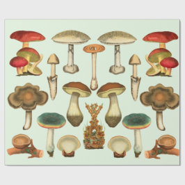 Pilze Pilze Fungi Pflanze Kollage Botanischer Gar Geschenkpapier