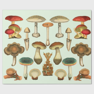 Pilze Pilze Fungi Pflanze Kollage Botanischer Gar Geschenkpapier