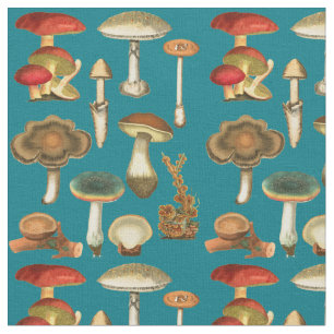Pilze Pilze Fungi Pflanze Kollektion Botanischer G Stoff