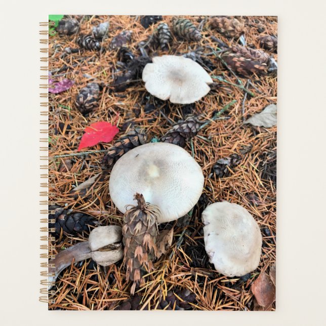 Pilze & Pine Cones Planer (Vorderseite)