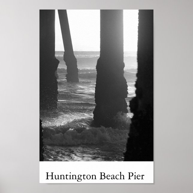 Pilze Poster (Vorne)