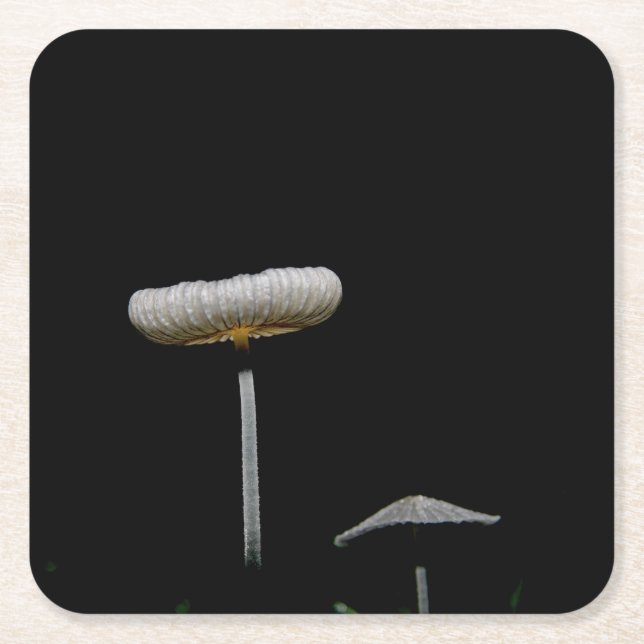 Pilze Rechteckiger Pappuntersetzer (Vorderseite)
