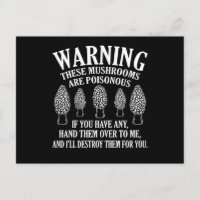 Pilze sind giftige Morels, die Mykologen jagen