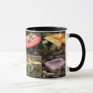 Pilze Tasse