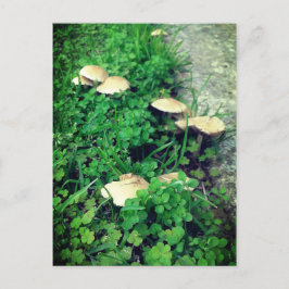 Pilze und Cloud Postkarte