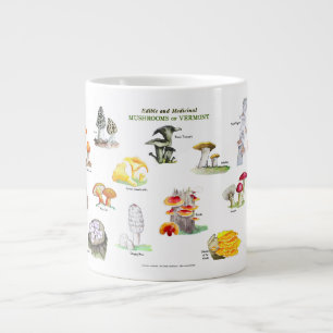 Pilze von Vermont-Common Names Jumbo-Tasse