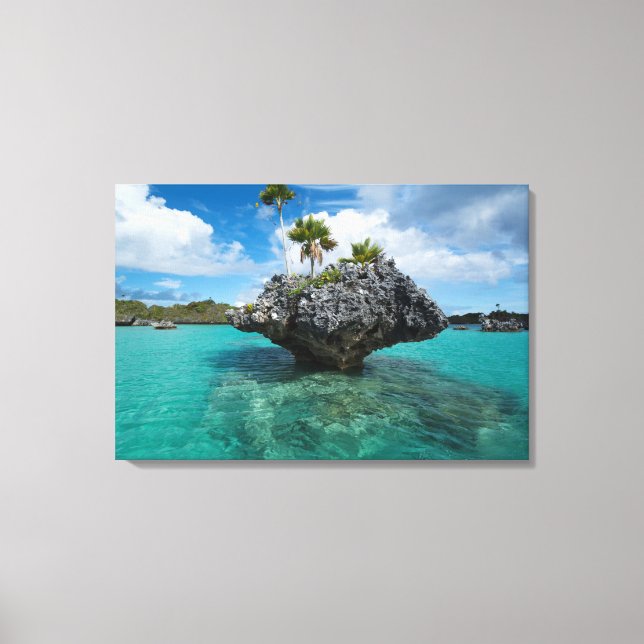 Pilzinseln auf Fidschi Leinwanddruck (Vorderseite)