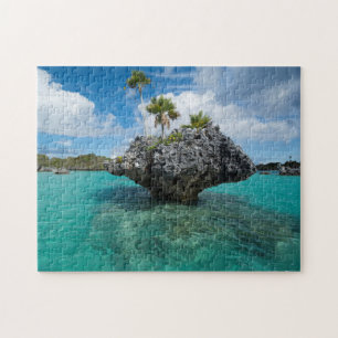 Pilzinseln in Fidschi Puzzle