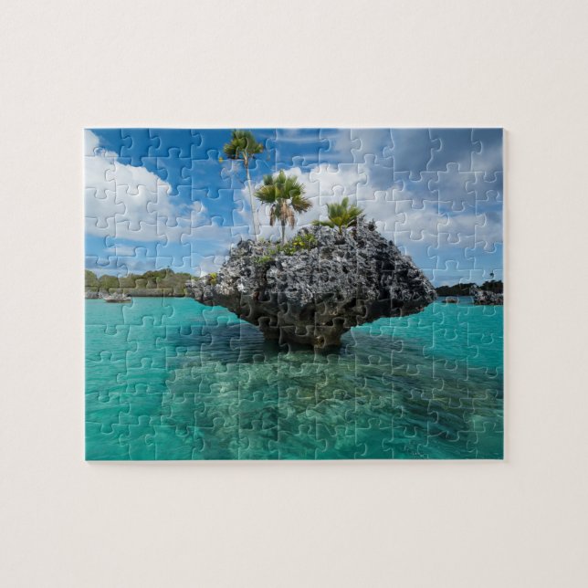 Pilzinseln in Fidschi Puzzle (Horizontal)
