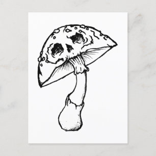 Pilzmöwe Postkarte