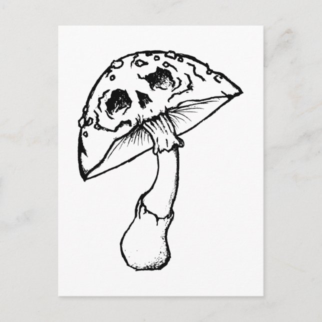 Pilzmöwe Postkarte (Vorderseite)