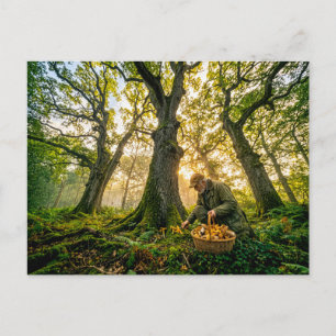 Pilzsammler unter alten Eichen Postkarte