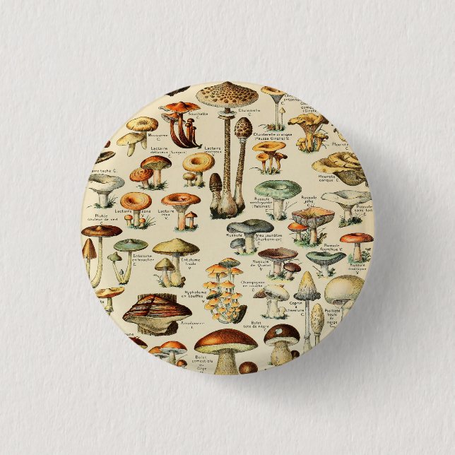 Pilzsammlung Button (Vorderseite)