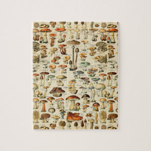Pilzsammlung Puzzle