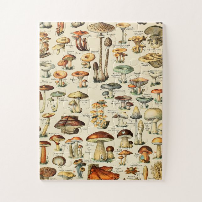 Pilzsammlung Puzzle (Vertikal)