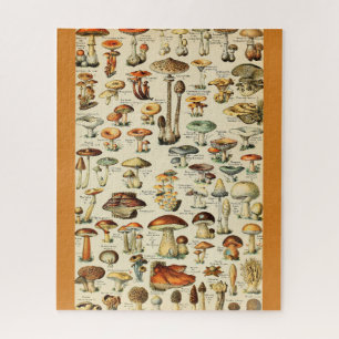 Pilzsammlung Puzzle