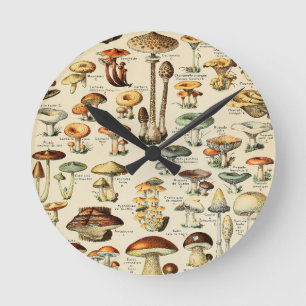 Pilzsammlung Runde Wanduhr