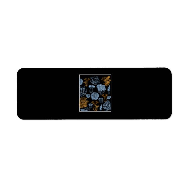 Pilzsorten, Pilze sammeln (Vorne)