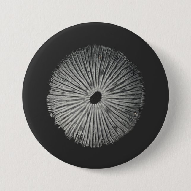 Pilzspinne Button (Vorderseite)