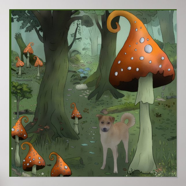 Pilzwald Poster (Vorne)
