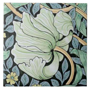 Pimpernel, William Morris Fliese