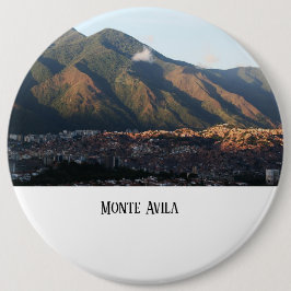 pin button