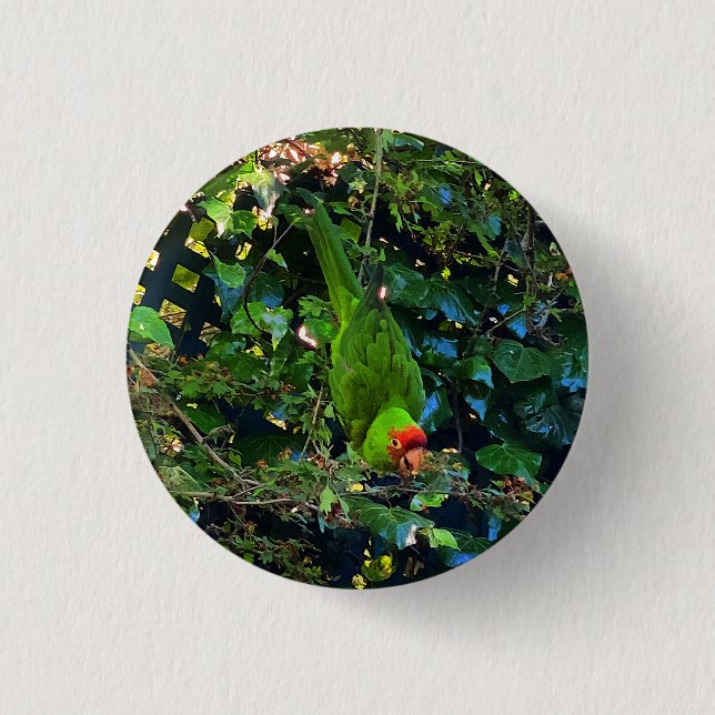 Pinback-Taste für Cherry Headed Construction #1 Button (Vorderseite)