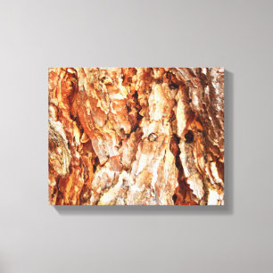 Pine Bark Canvas Print Leinwanddruck