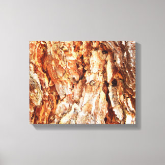 Pine Bark Canvas Print Leinwanddruck