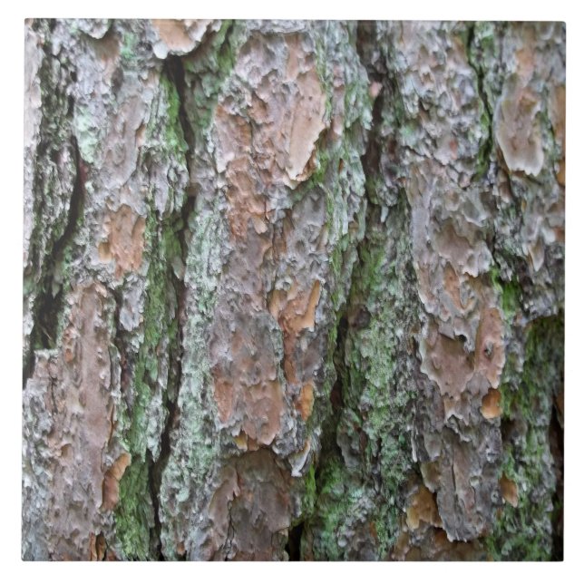 Pine Bark Fliese (Vorderseite)