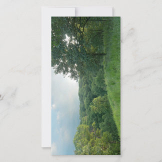 Pine Bend Bluff mit Blick auf die Wälder des Tals